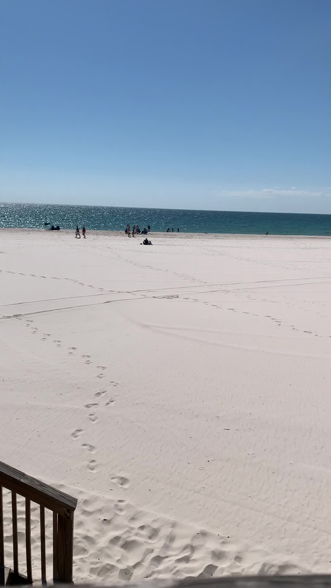 Video review of Pink Pony Pub