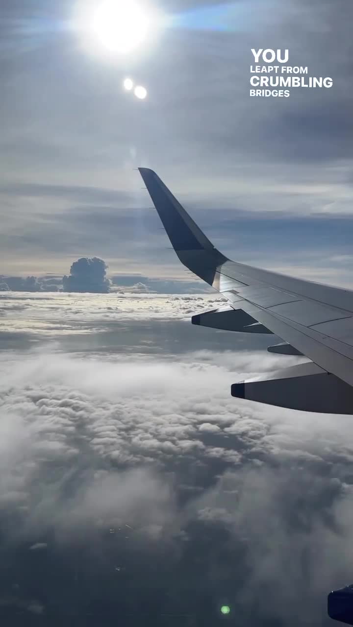 Meshi Vegetarian Dhaba (Corner Wala)