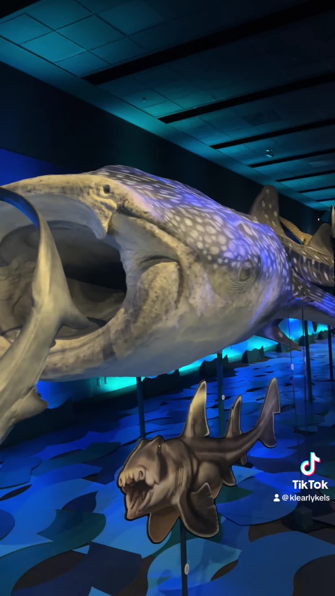 Bullock Texas State History Museum