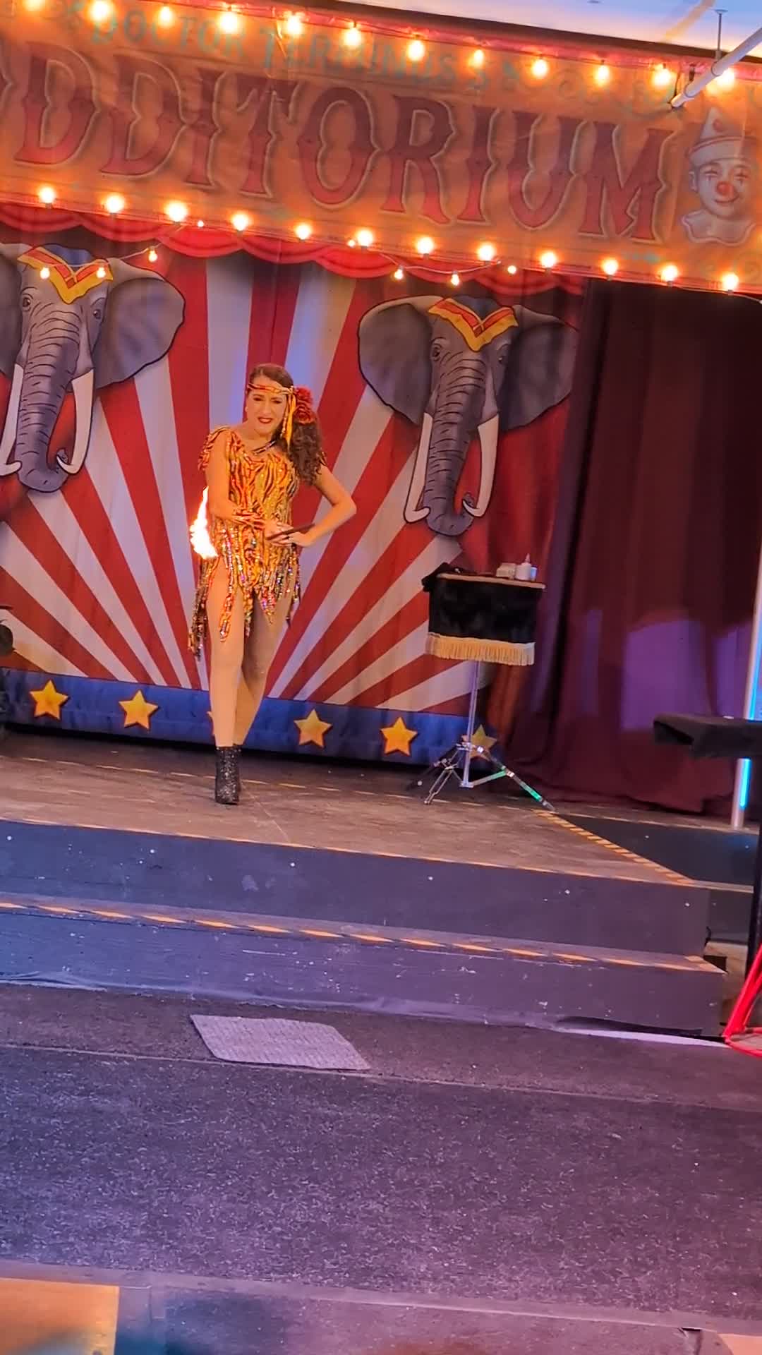 Video review of City Museum