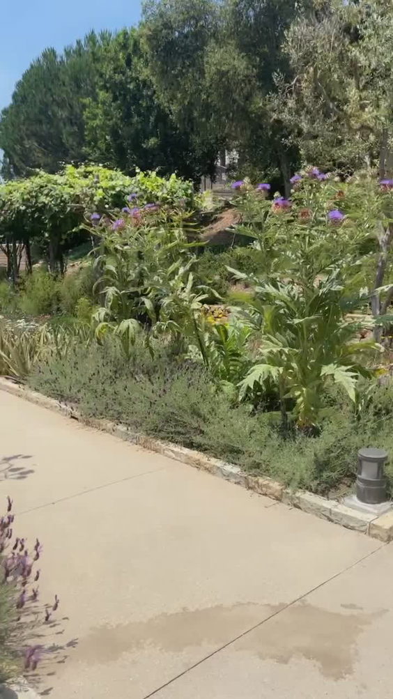 J. Paul Getty Villa Museum Theatre