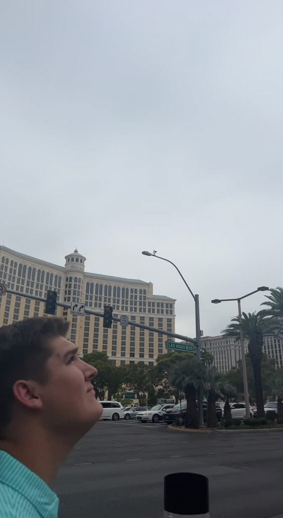 The Las Vegas Strip