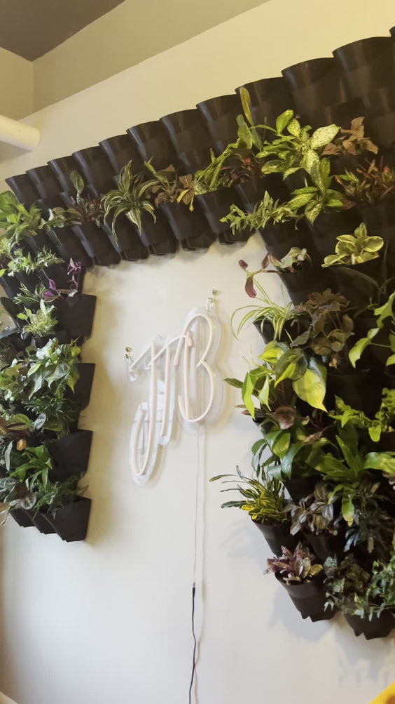 JTB Wellness
