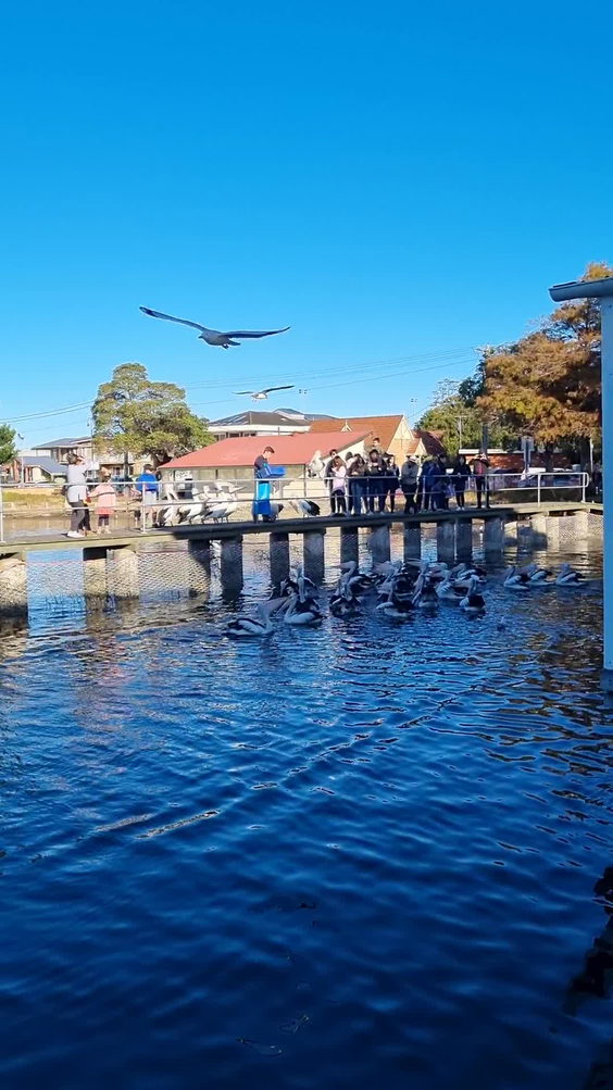 Woy Woy Fishermen's Wharf