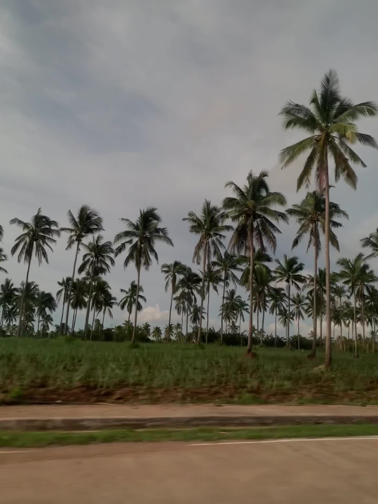 Cavite Batangas Transport Services, Inc.