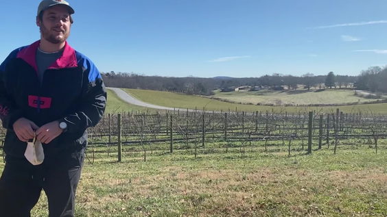 CeNita Vineyards and Winery