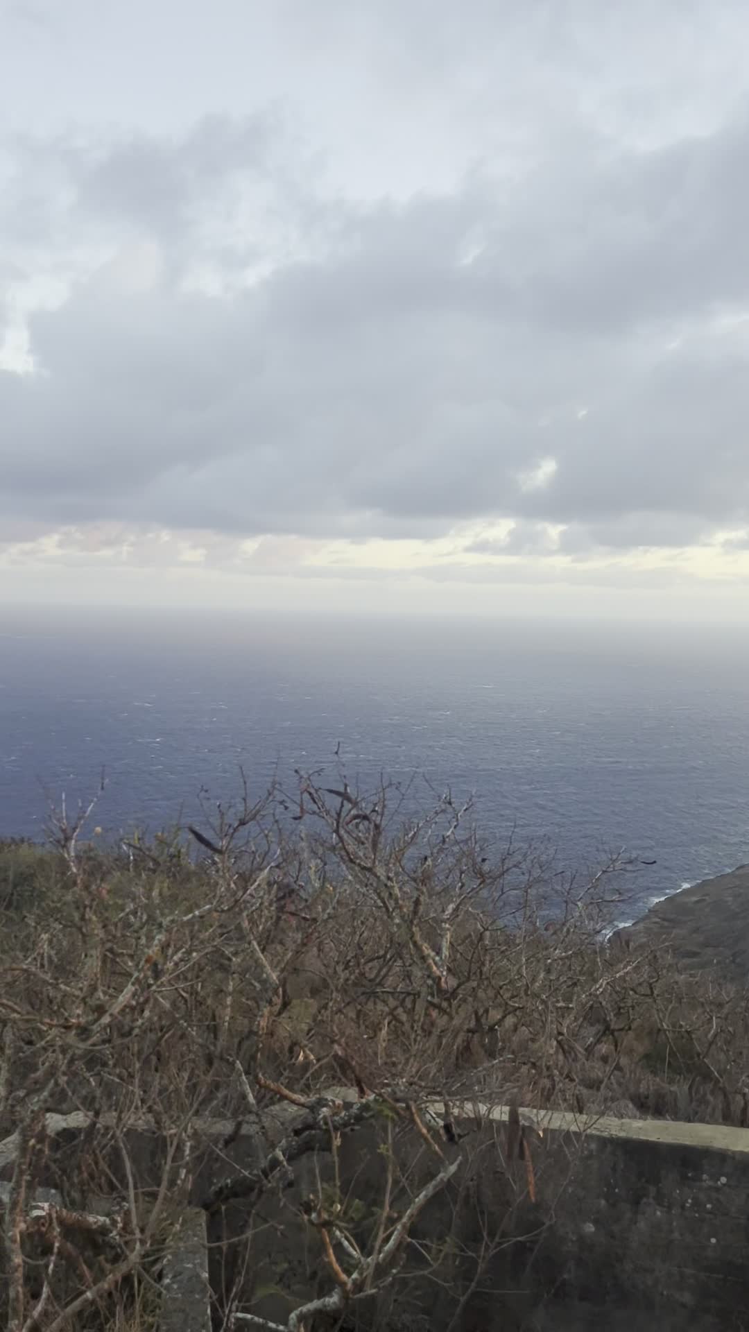 Koko Crater Stairs (Summit)
