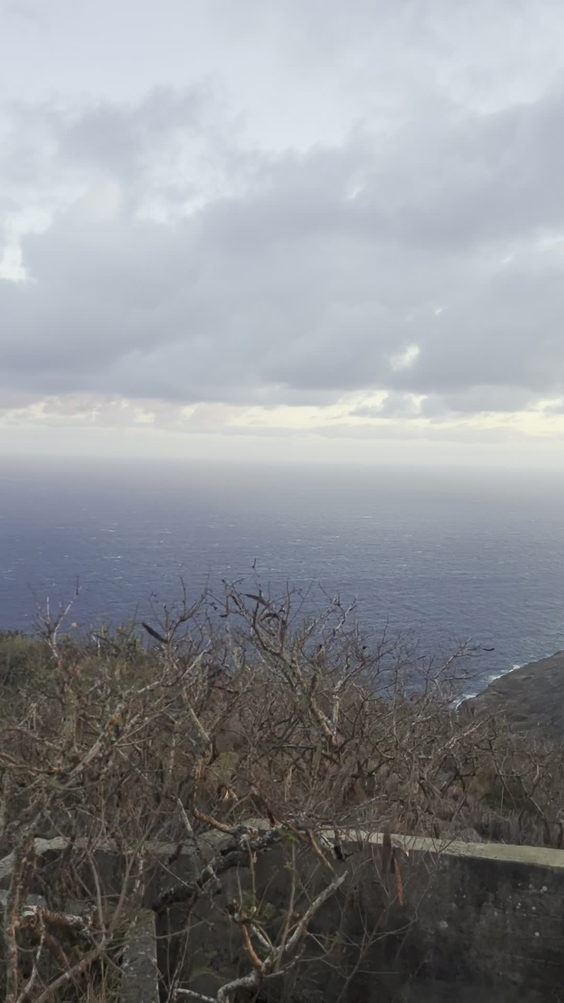 Koko Crater Stairs (Summit)