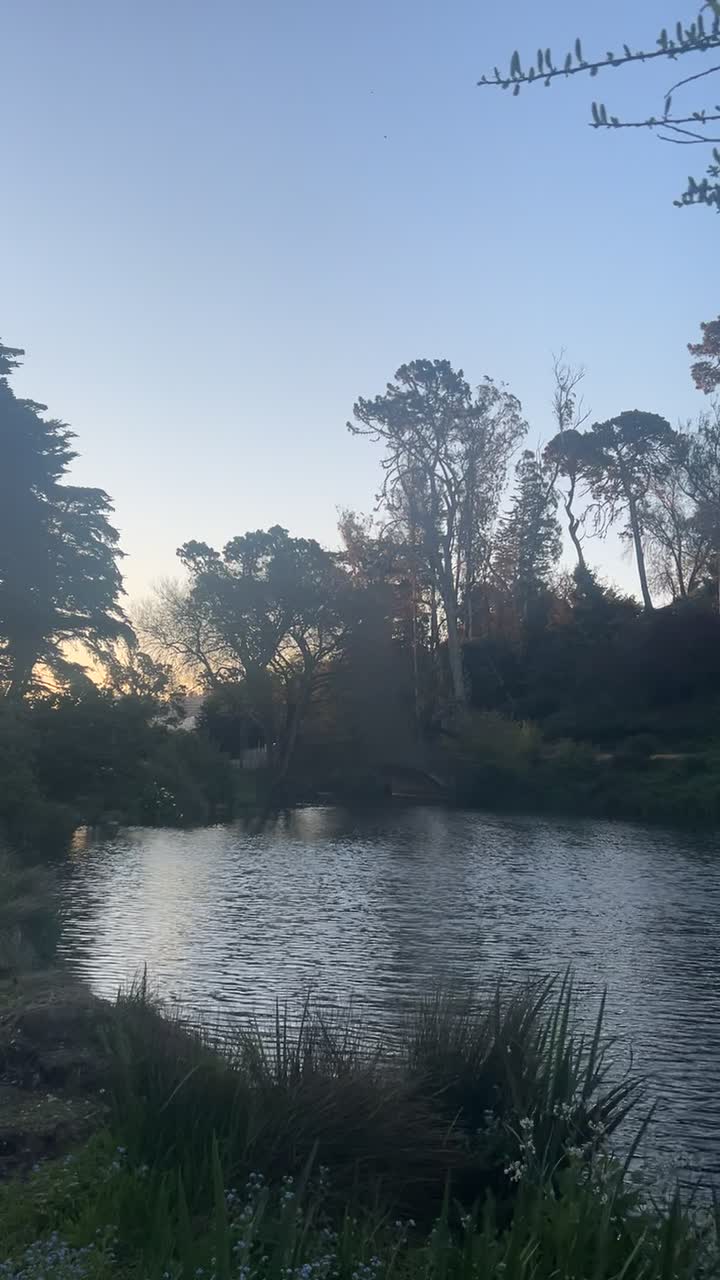 City Moment · San Francisco