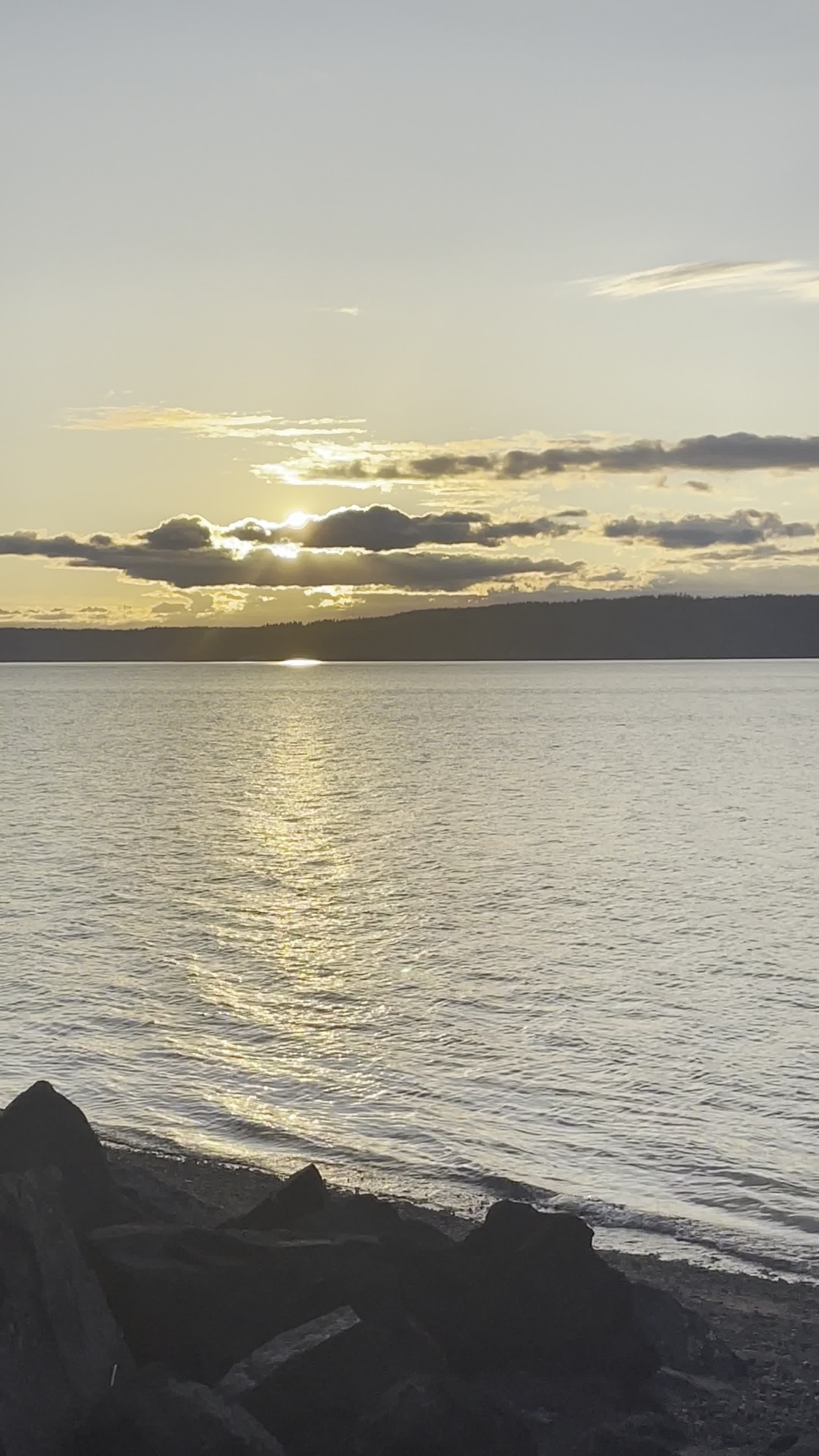 Dash Point Beach