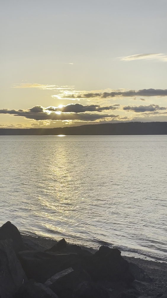 Dash Point Beach