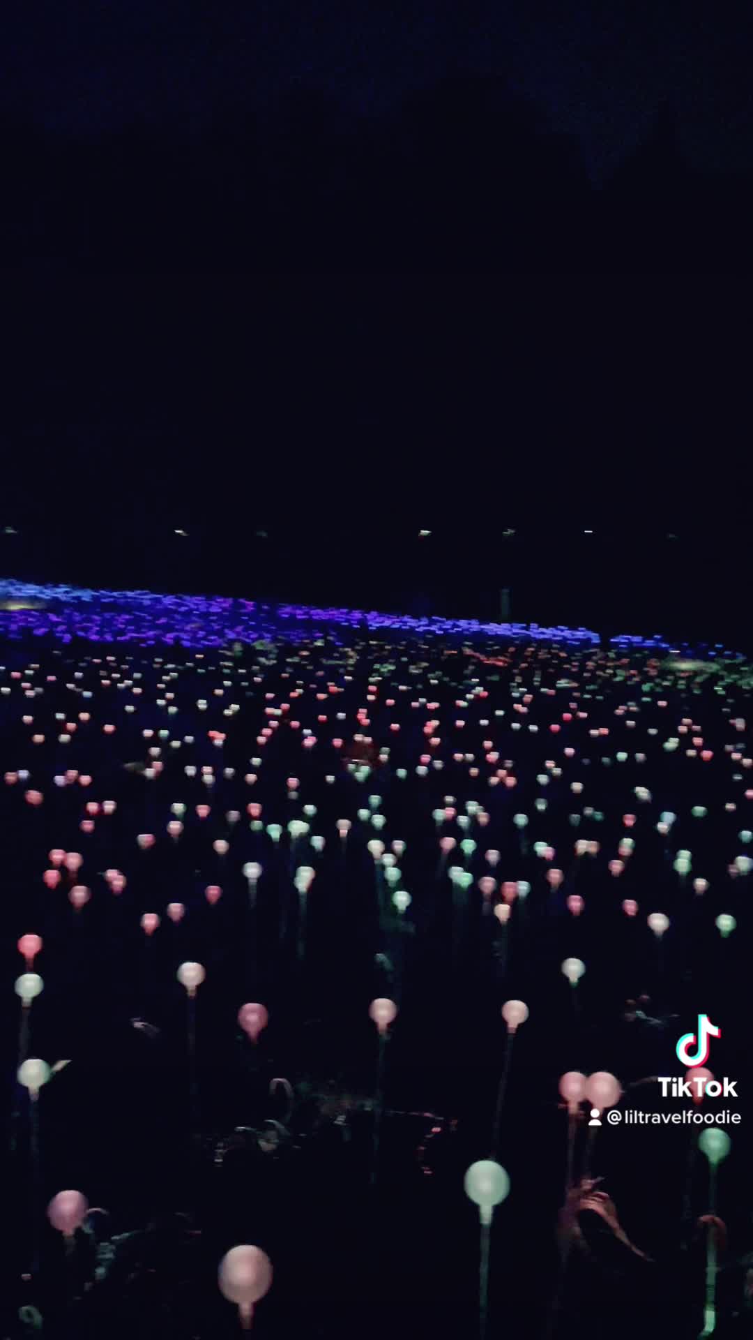 Video review of Longwood Gardens