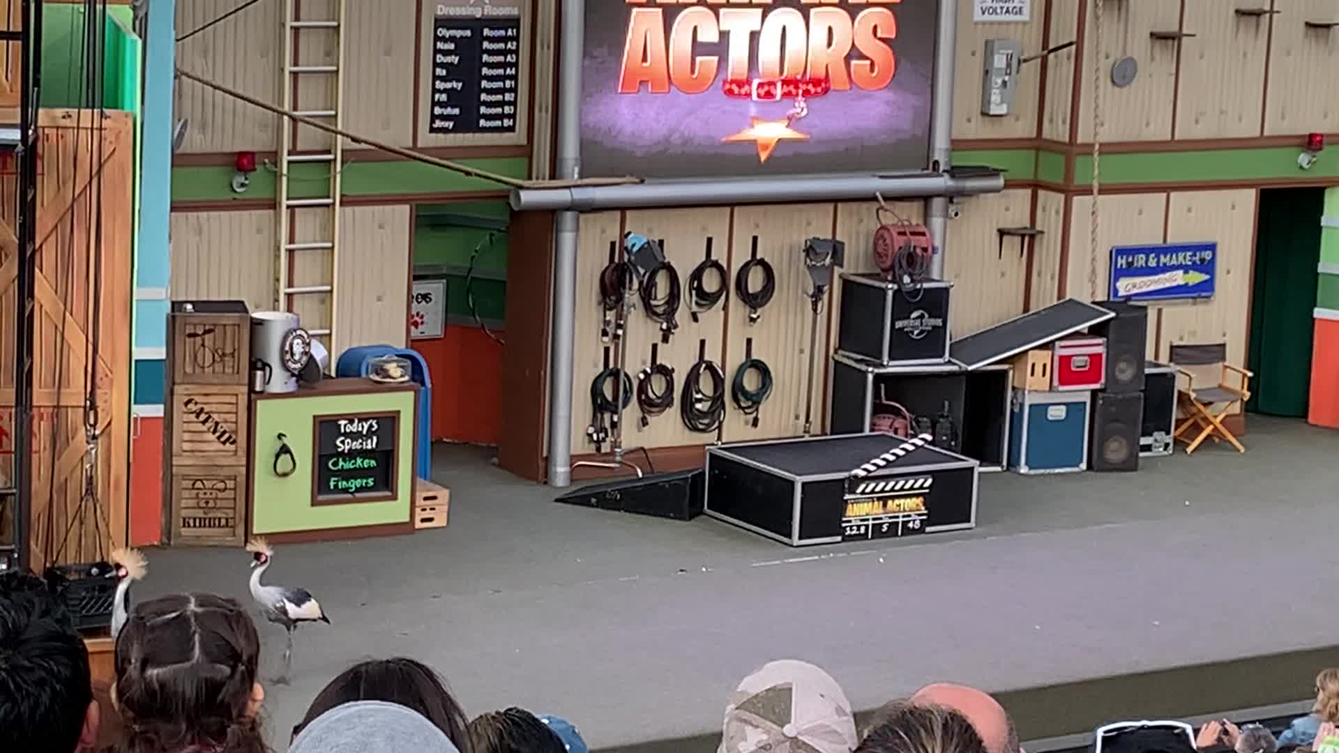 Universal's Animal Actors