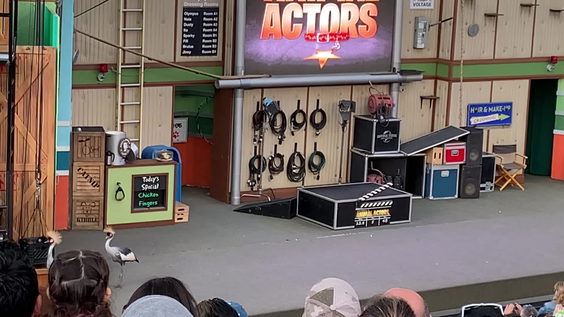 Universal's Animal Actors