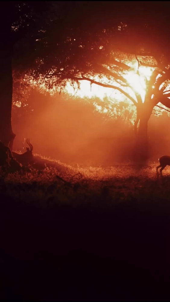 Kruger National Park