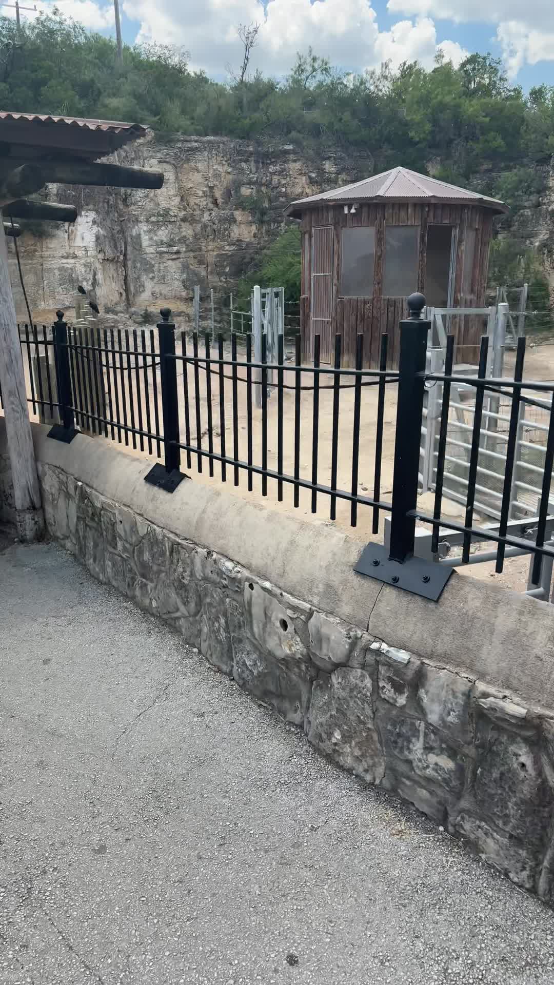 Video review of San Antonio Zoo