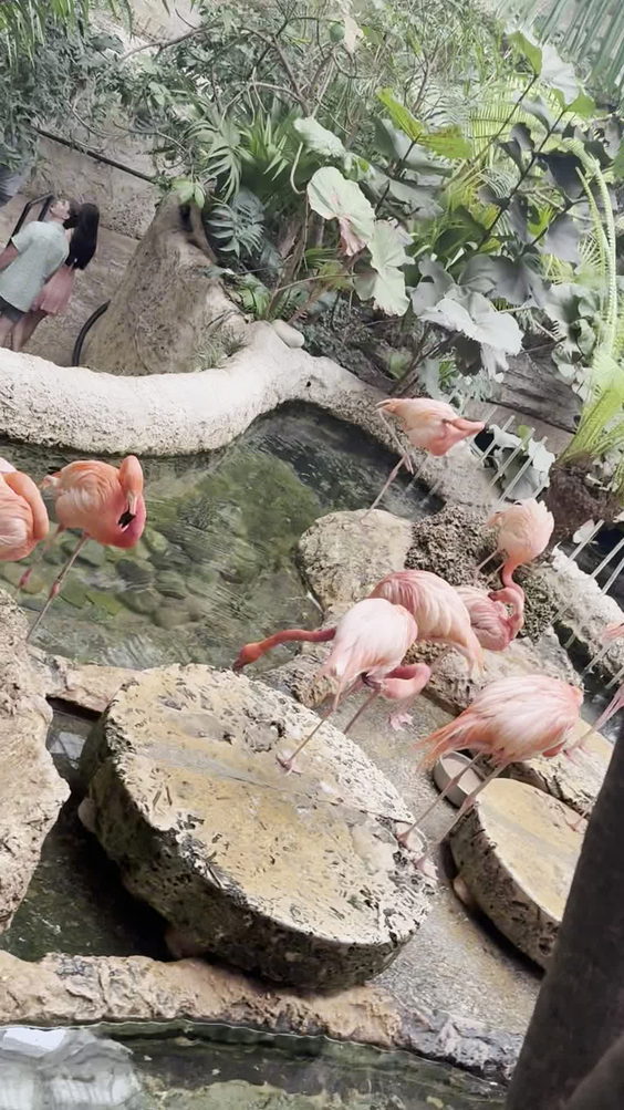 Dallas World Aquarium