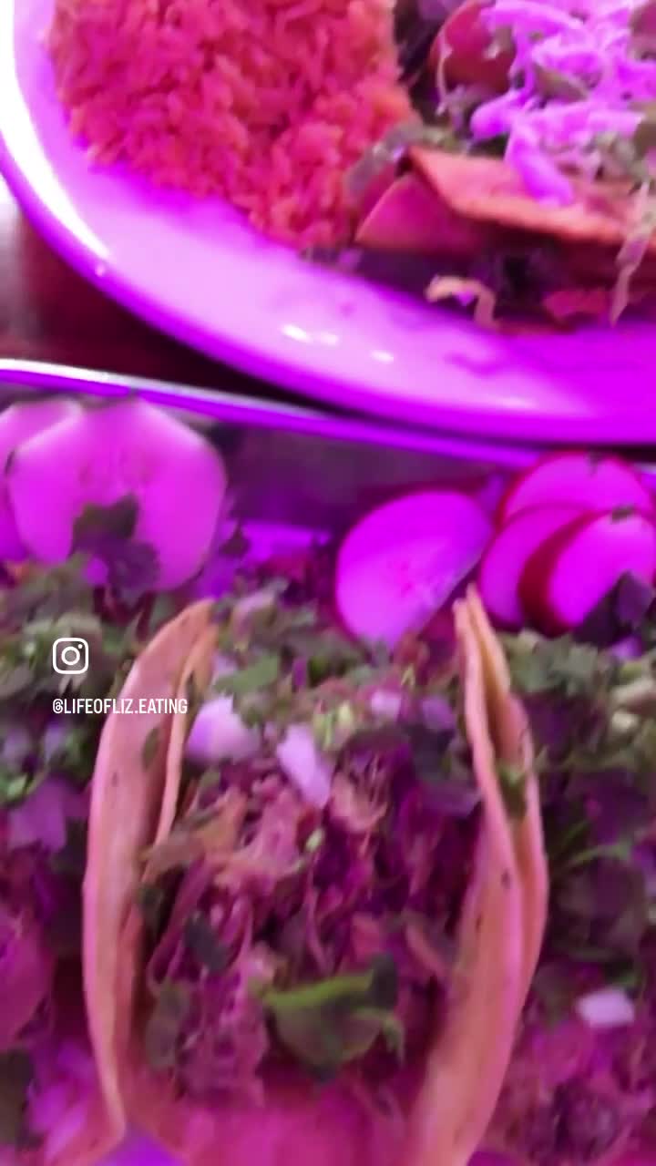 Agave Cocina Mexicana