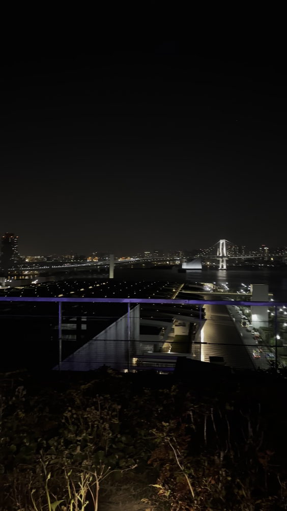 Toyosu manyo club