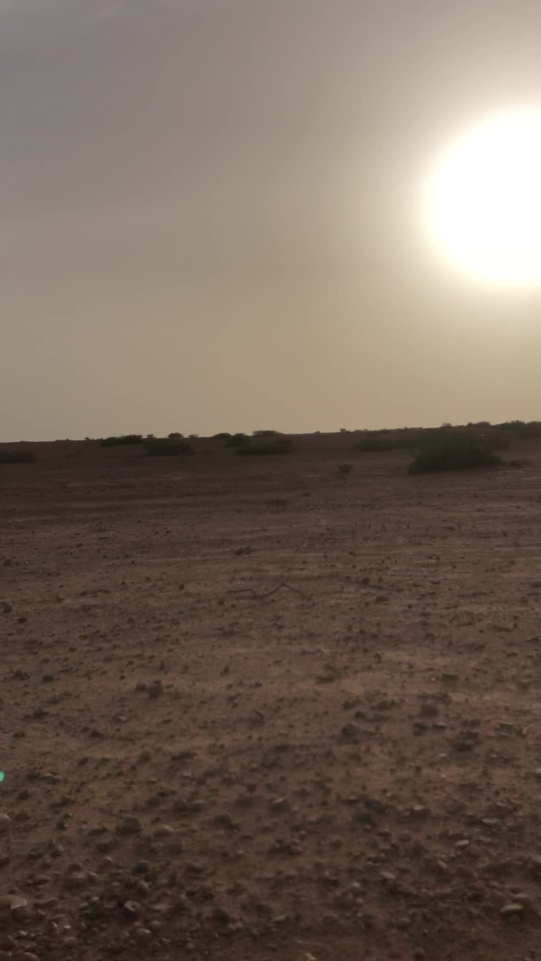 Dunes & Desert Quad Marrakech