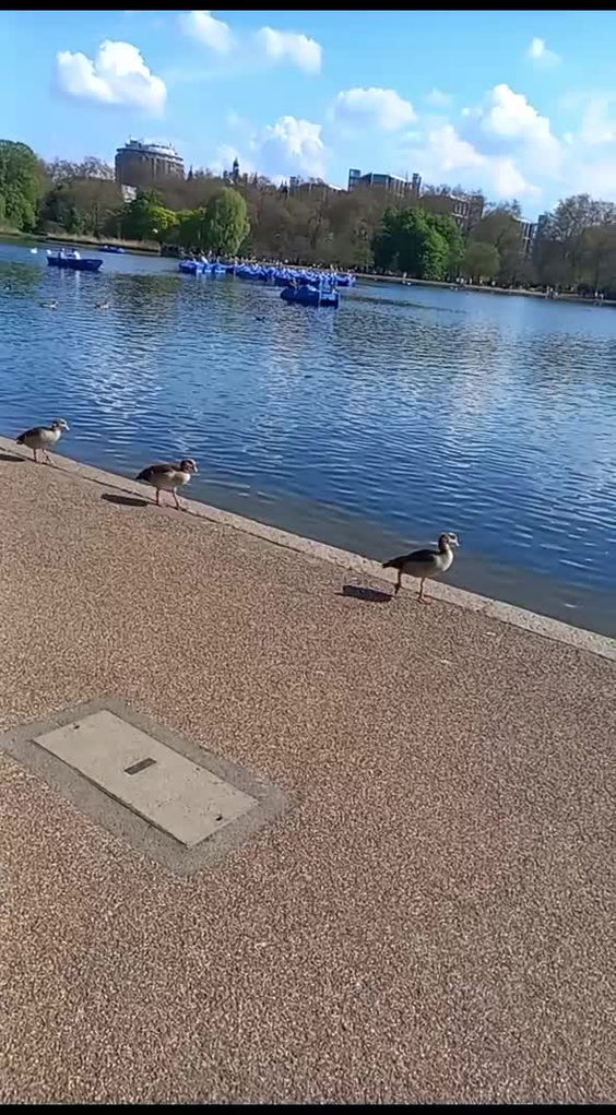 The Regent's Park
