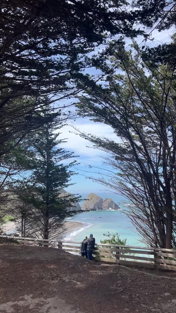Mendocino Dog Park