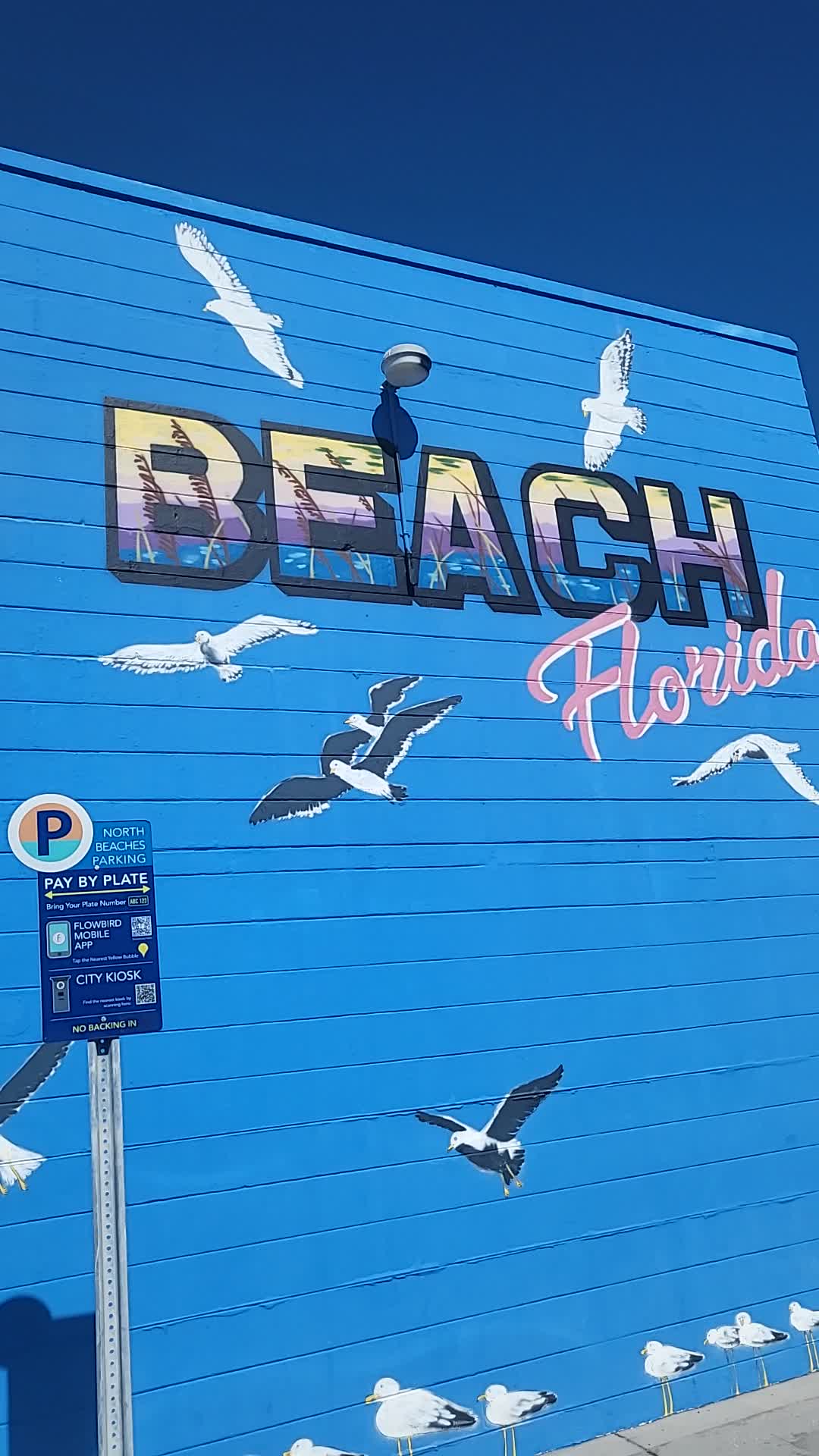 Video review of The Lemon Bar