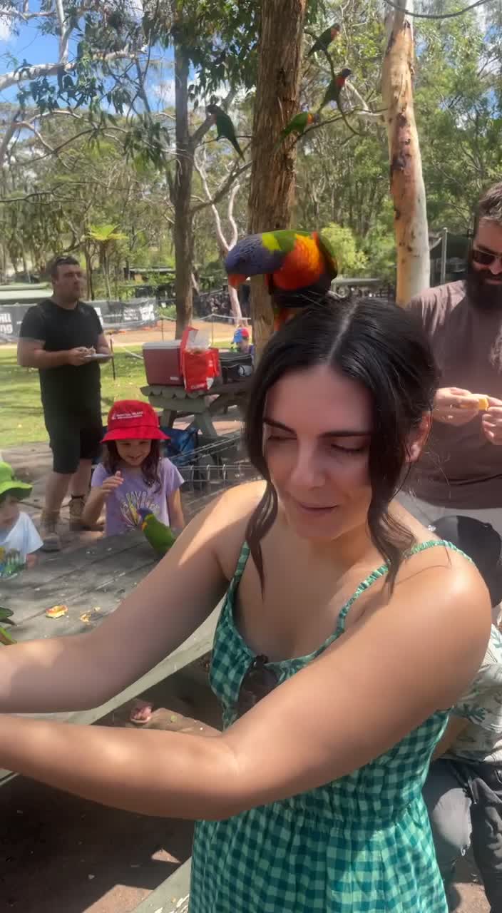 Australian Reptile Park