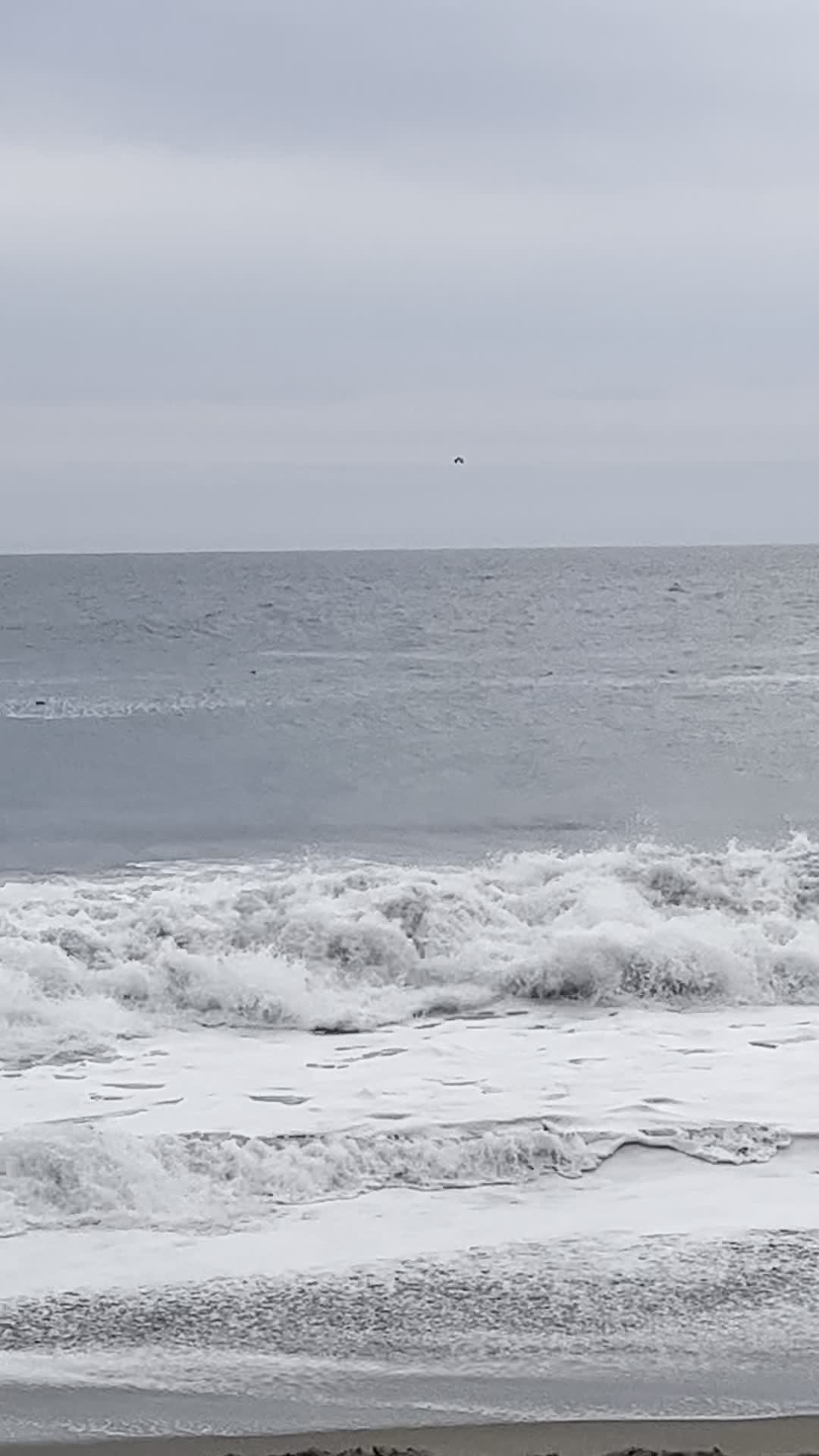 Point Mugu State Park