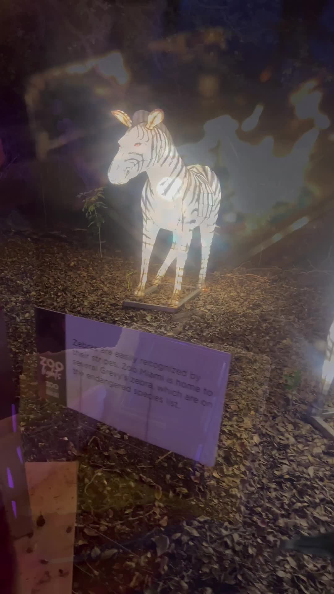 Video review of Zoo Miami