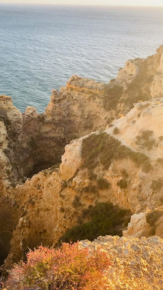 Ponta da Piedade