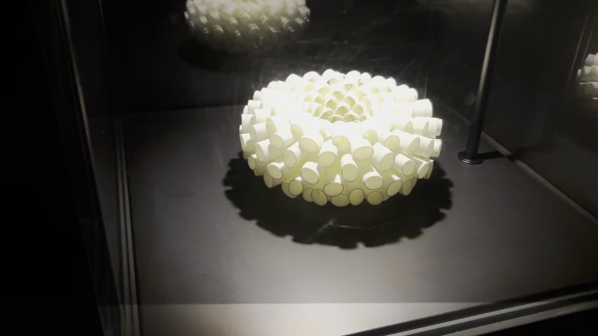 Museum of Illusions - Las Vegas