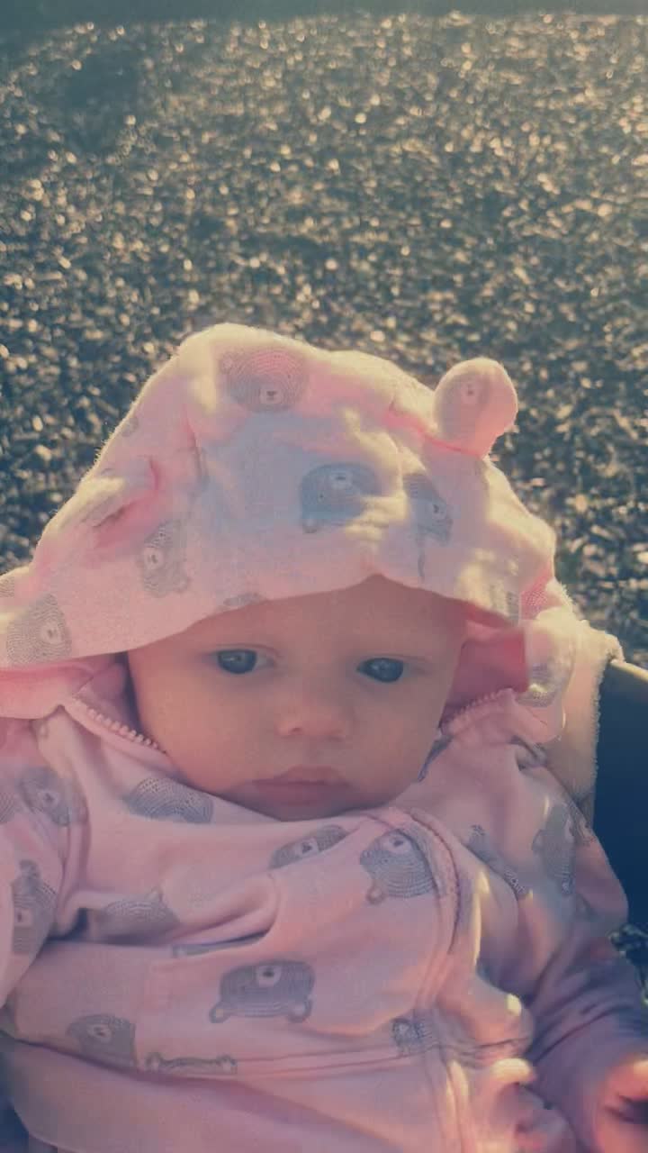 Video review of Canal Park