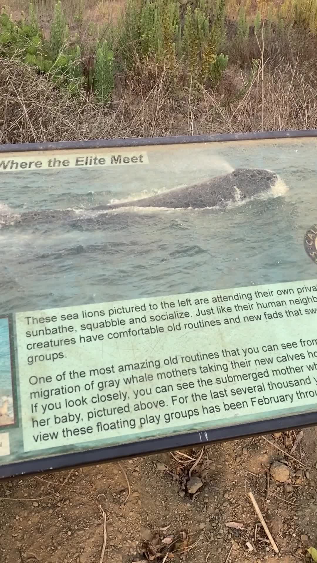 Video review of Point Dume State Beach