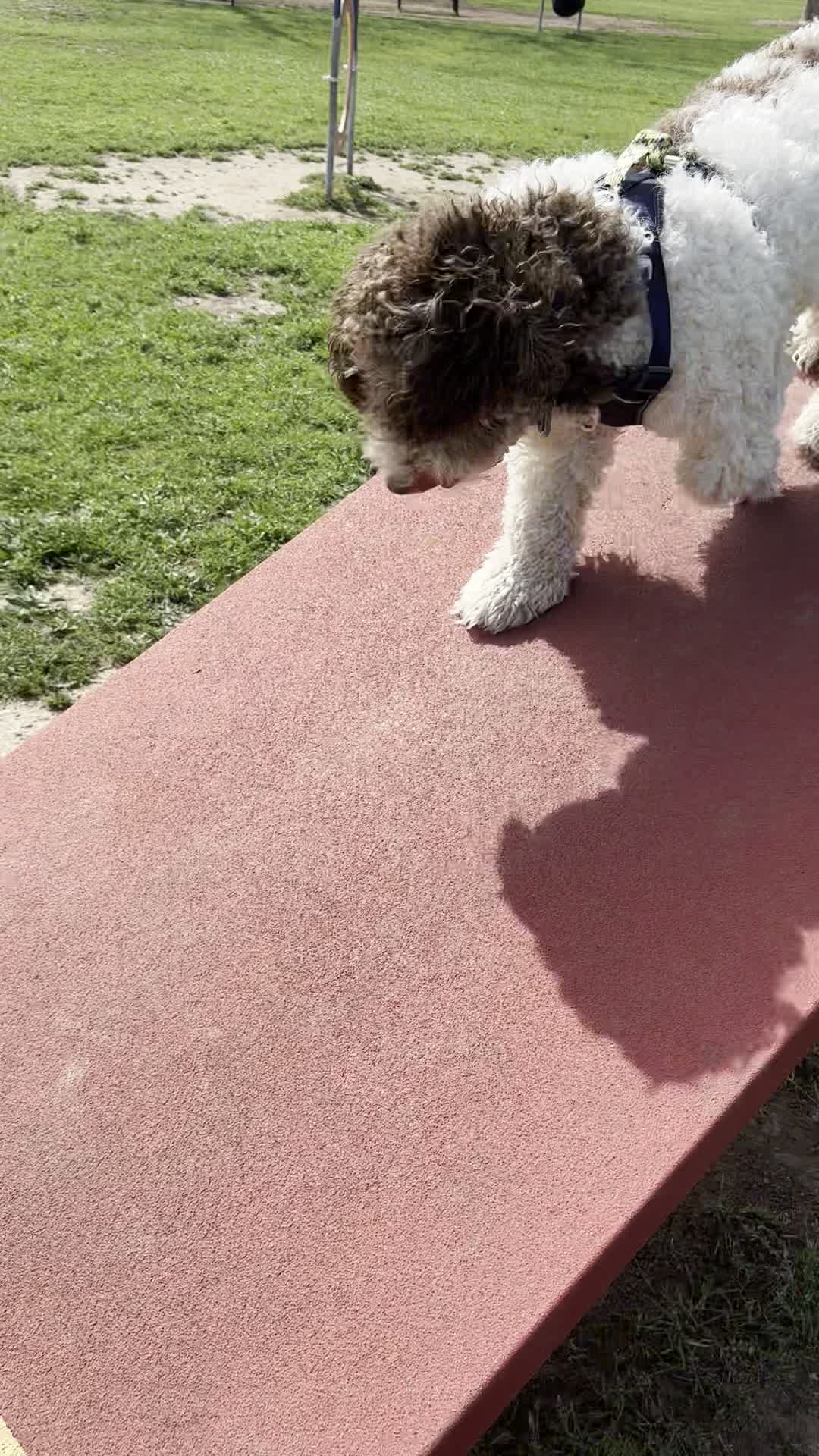 San Gabriel Park, Georgetown, TX