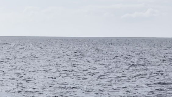 Sail Maui