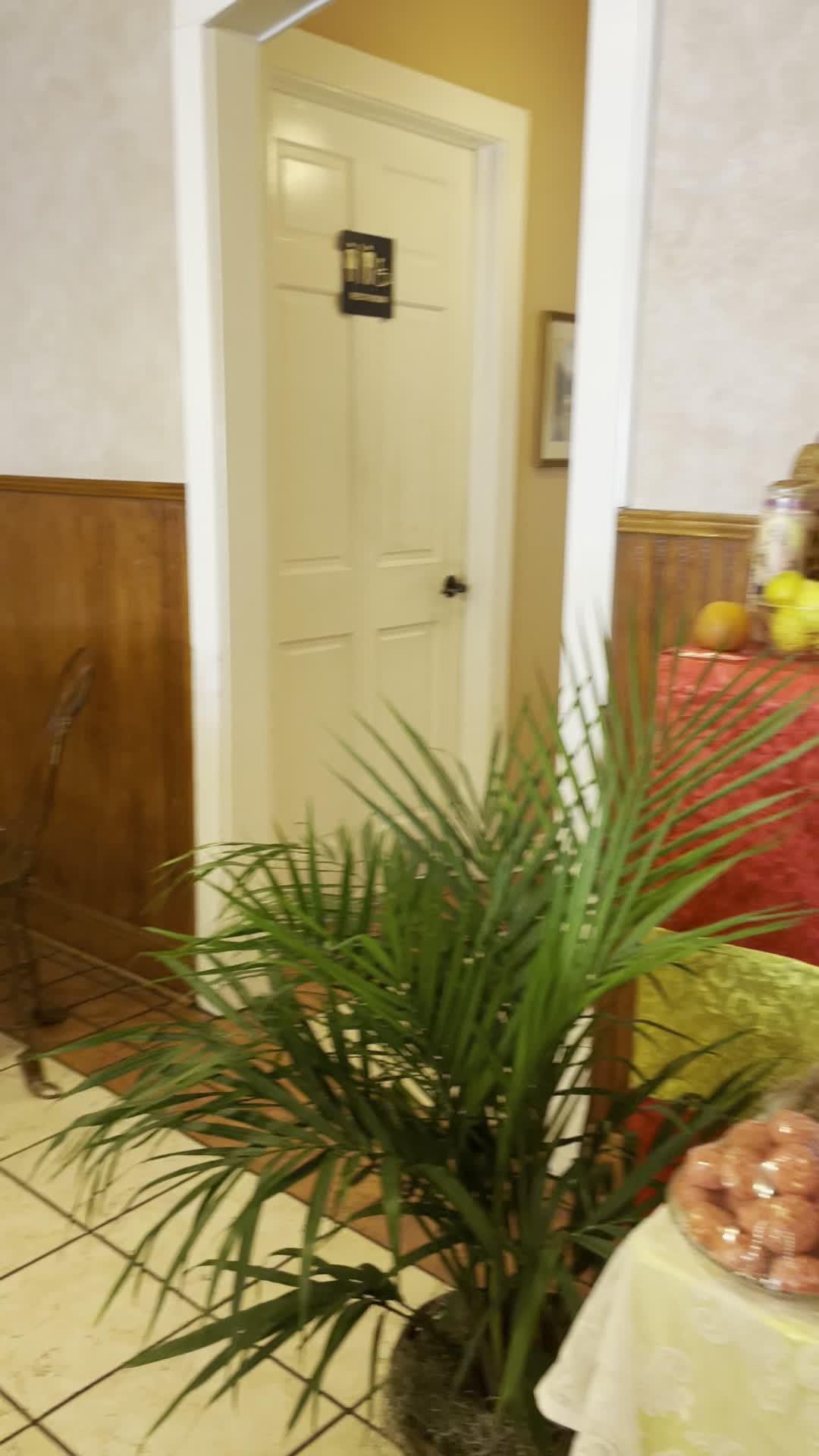 Video review of Angelo Brocato's