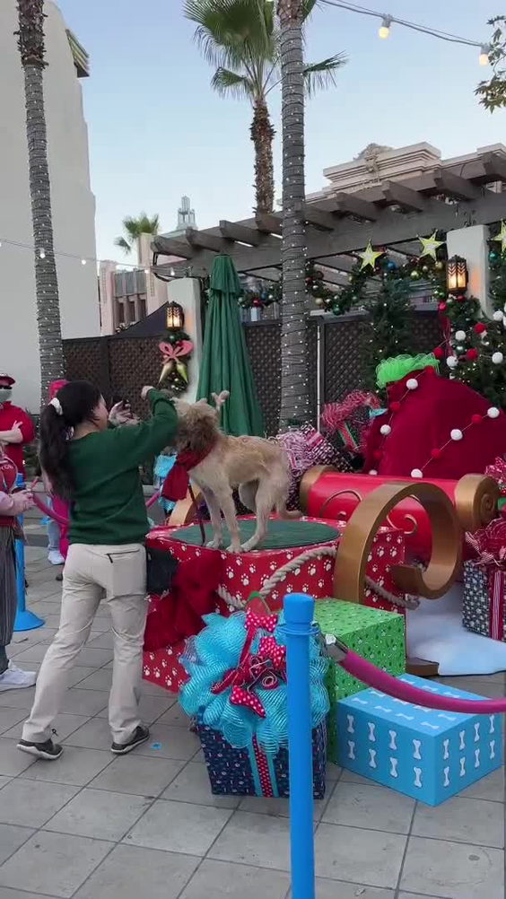 Grinchmas