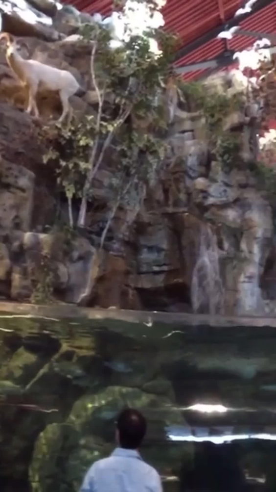 Bass Pro Shops/Cabelas Boating Center
