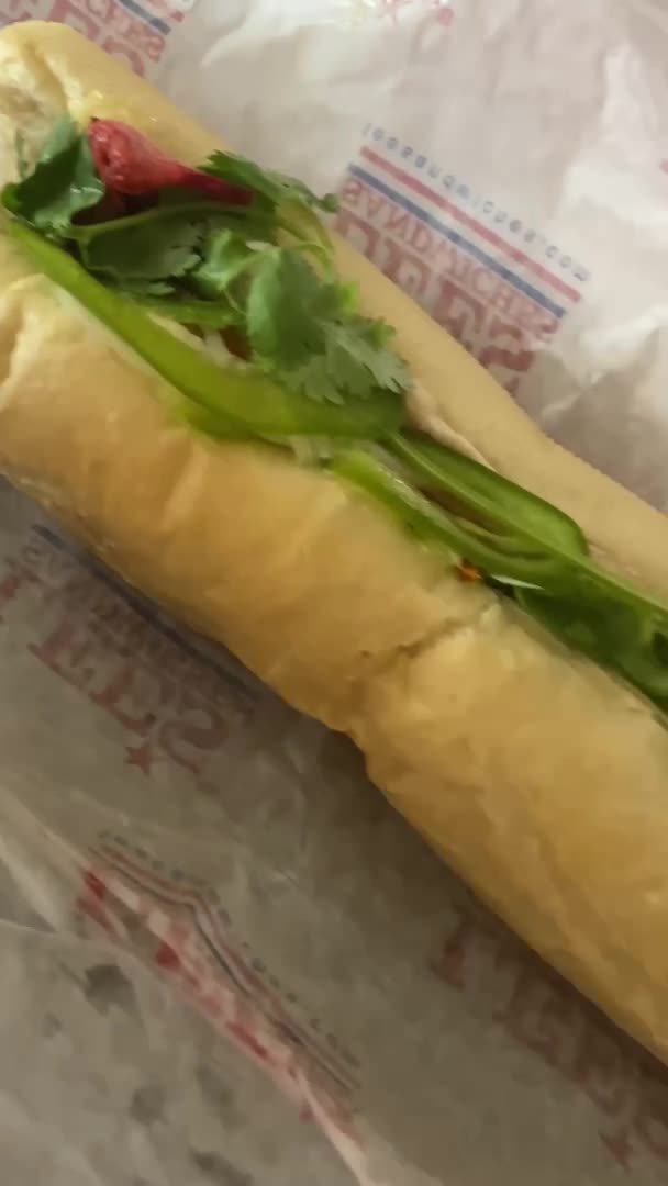 Video review of Lee's Sandwiches