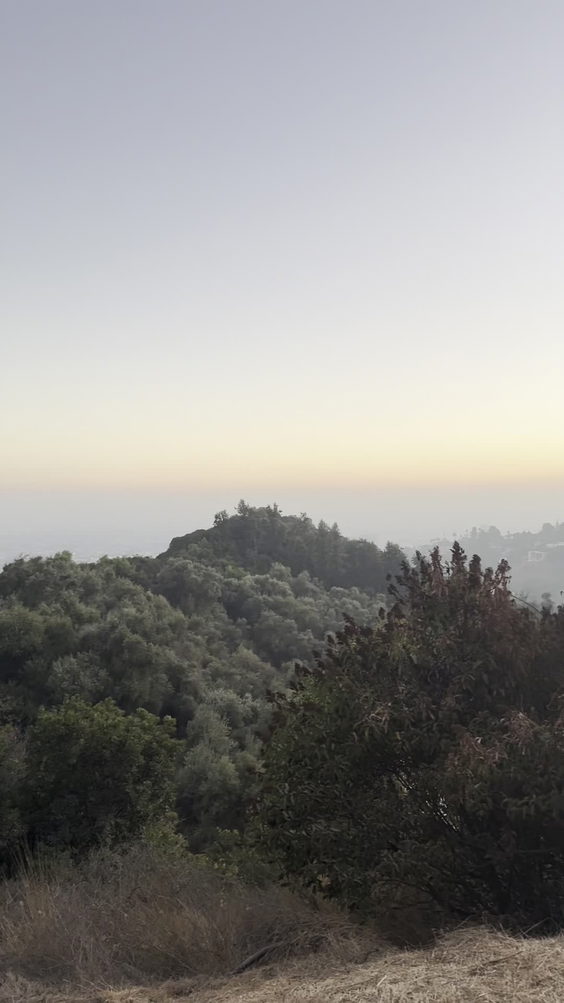 Griffith Observatory Hike