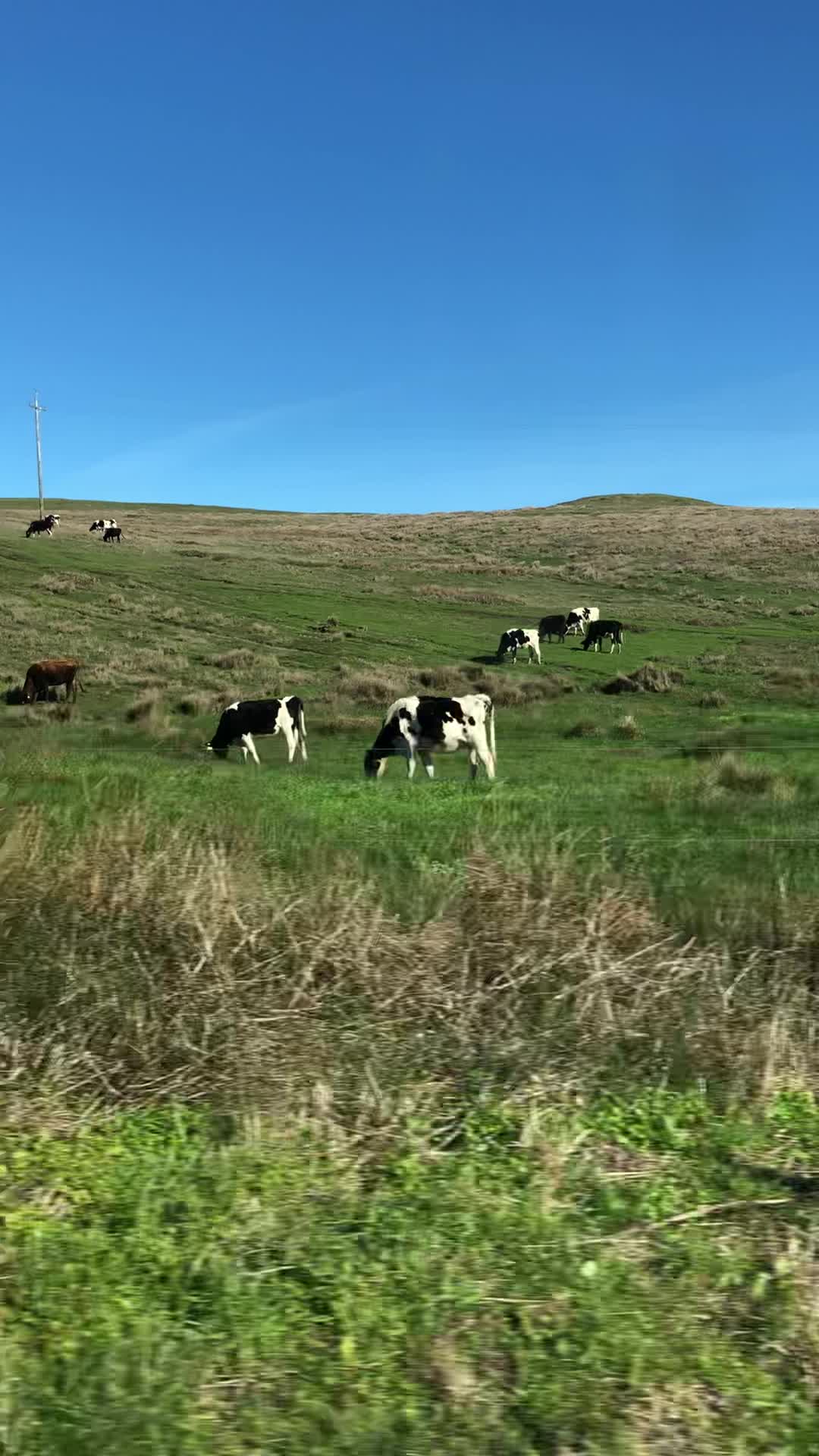 Point Reyes National Seashore