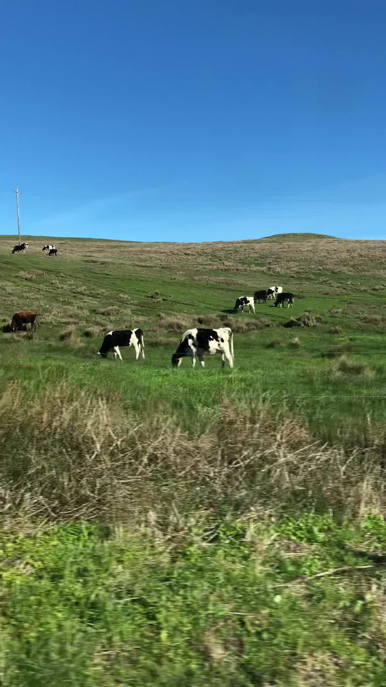 Point Reyes National Seashore