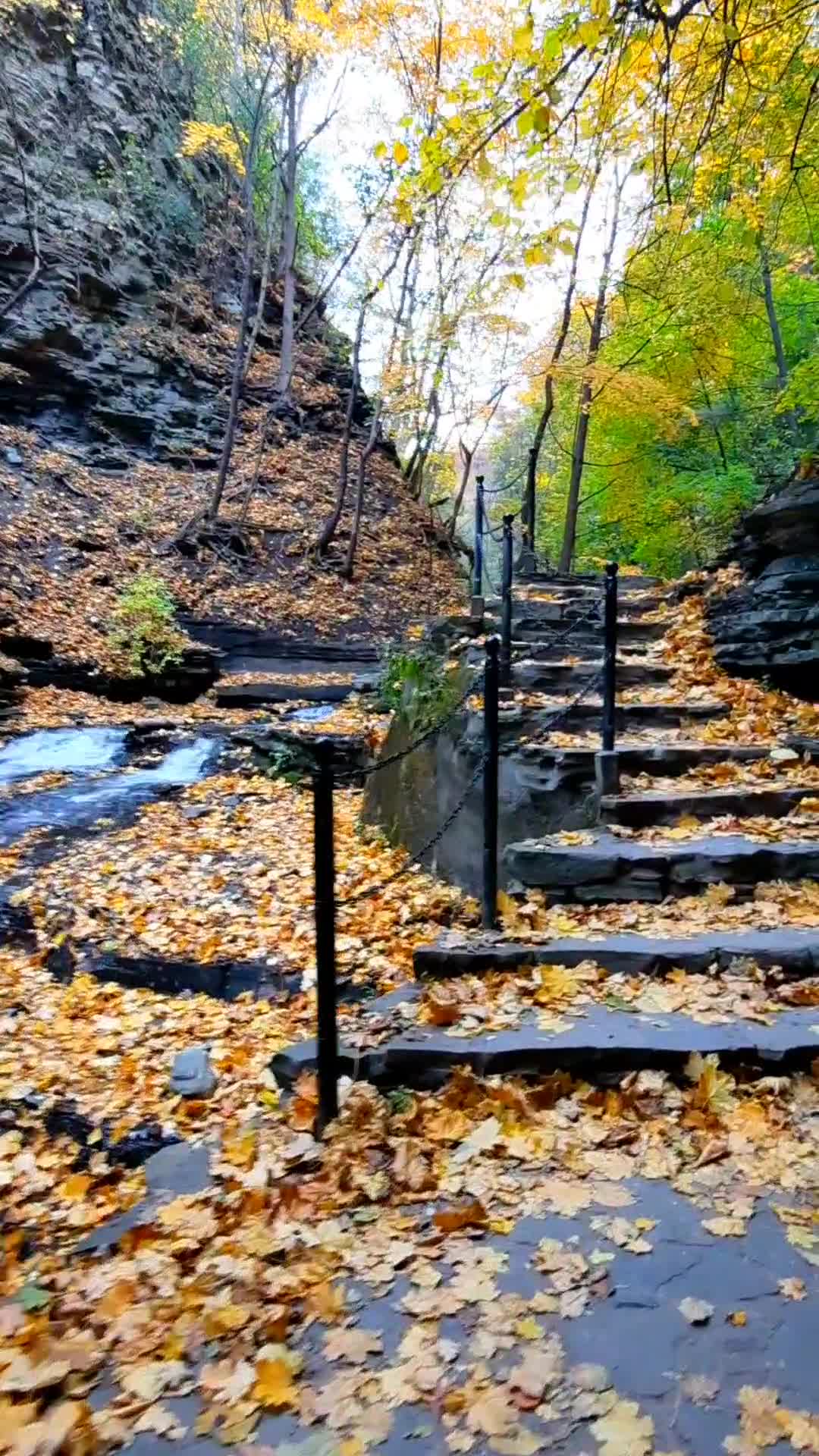 Cascadilla Gorge