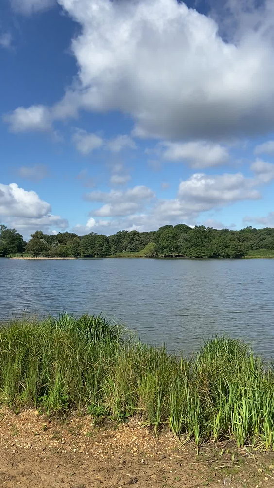 Richmond Park