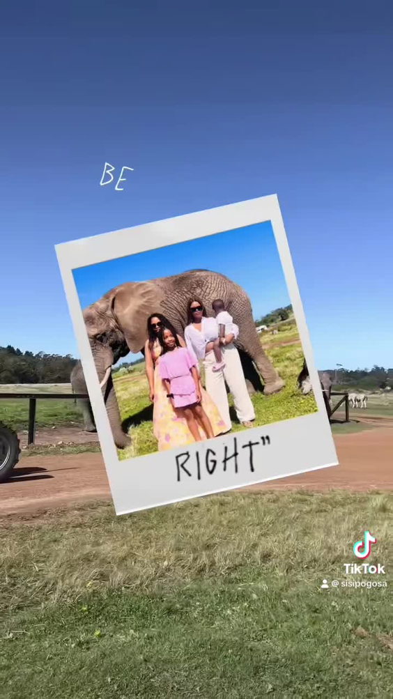 Knysna Elephant Park
