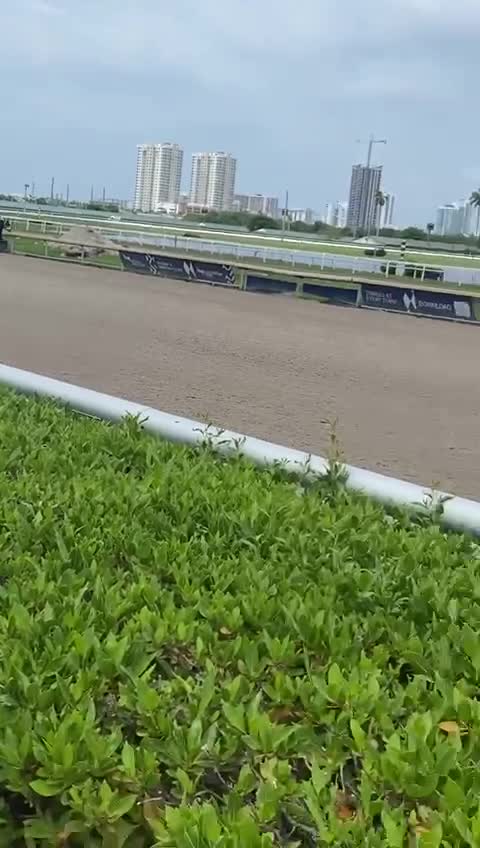 Gulfstream Park Racing and Casino