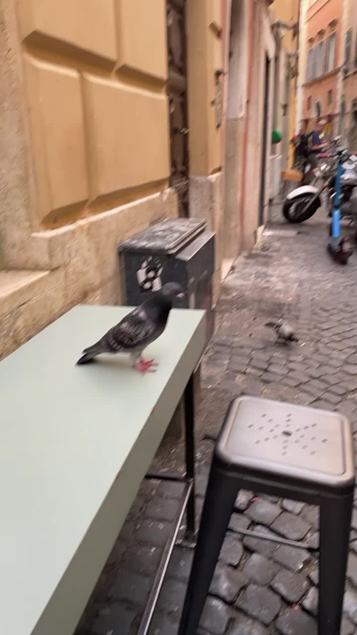 Antico Forno Roscioli