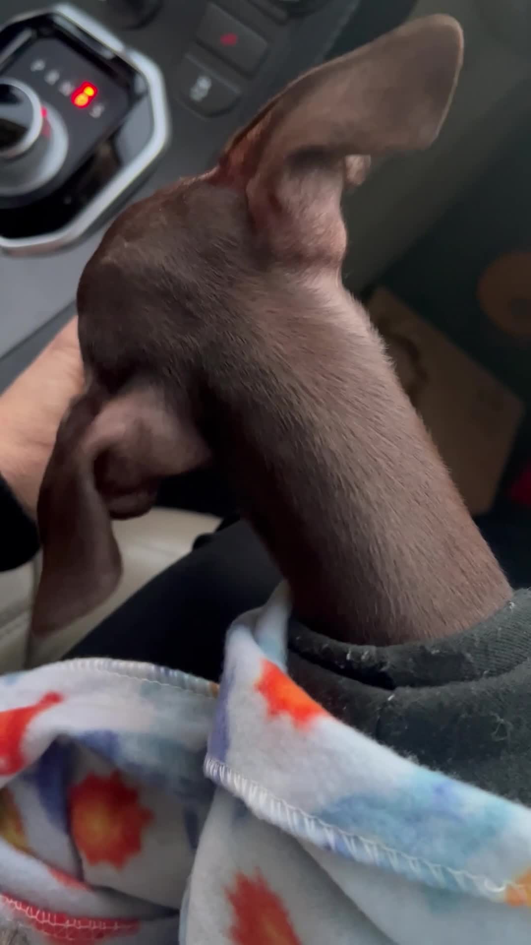 Video thumbnail