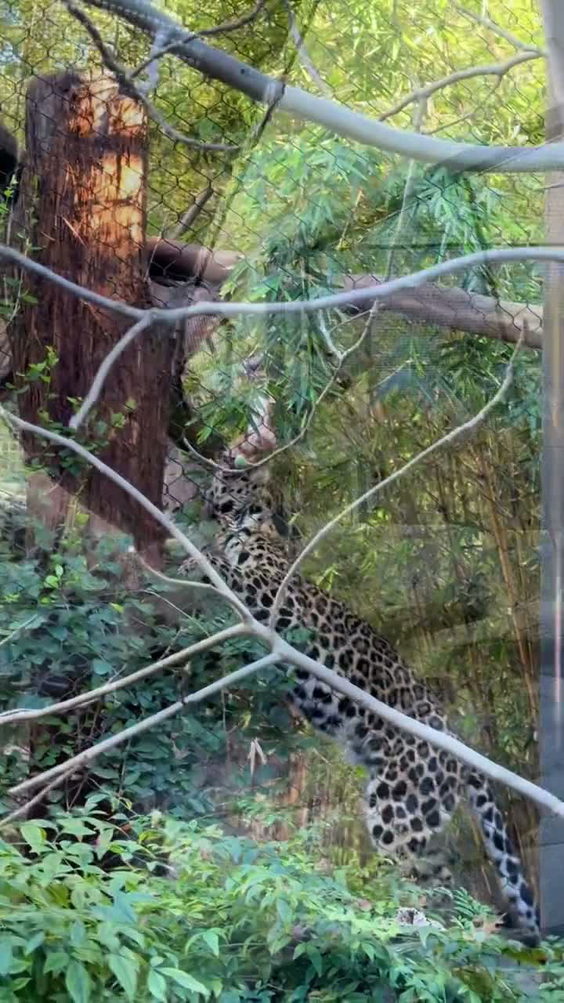 San Diego Zoo